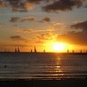 Meet your Posher, Hernandez